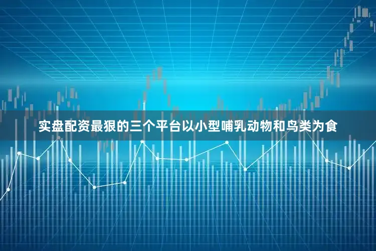 实盘配资最狠的三个平台以小型哺乳动物和鸟类为食