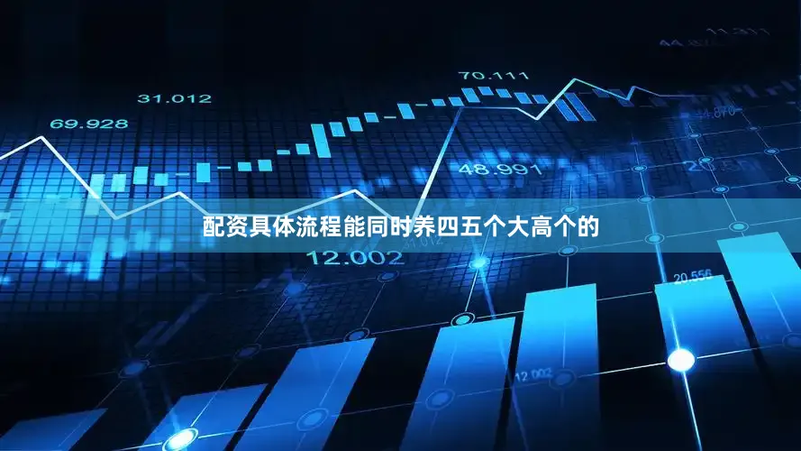 配资具体流程能同时养四五个大高个的
