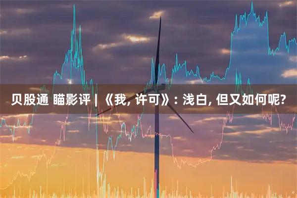 贝股通 瞄影评 | 《我, 许可》: 浅白, 但又如何呢?